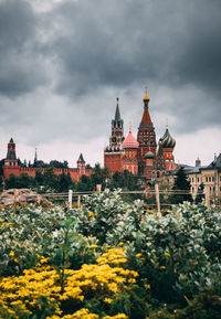 View of flowering plants in city against cloudy sky