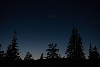 Silhouette trees against clear sky