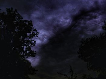 Low angle view of trees against cloudy sky