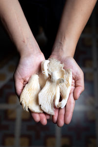 Cropped hand of person holding mushrooms