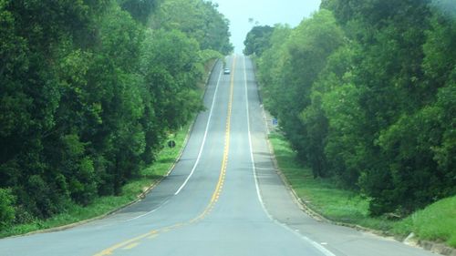 Country road along trees