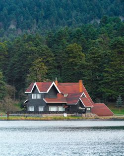 Houses by lake and buildings against trees