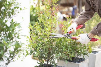 Man working on plants