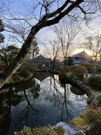 Trees and houses by lake against sky