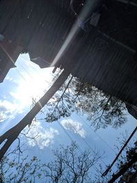 Low angle view of trees against sky