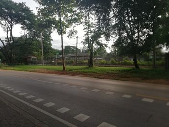 Road by trees in city