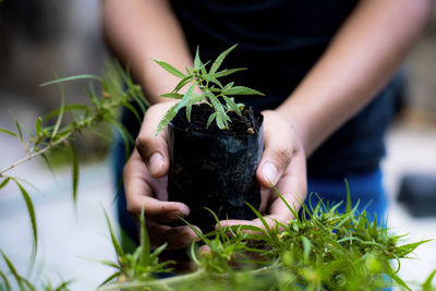 Asian boy with a cigarette marijuana in garden.