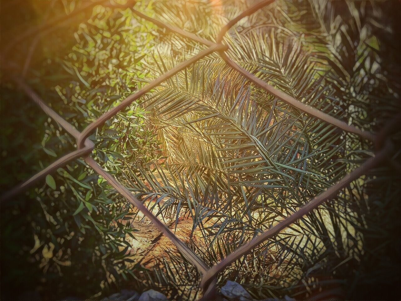 M. Abdulhaq 📷 🇸🇦