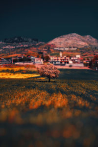 Scenic view of field against sky during autumn