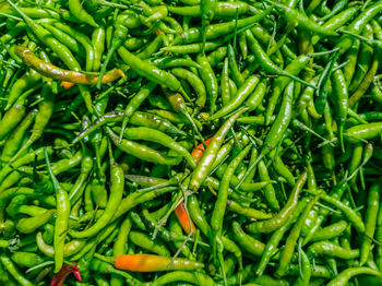 Full frame shot of green chili peppers