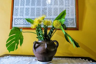 Close-up of yellow flowers