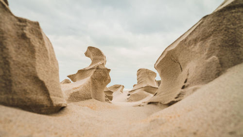 Low angle view of sand dune on beach