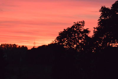 Low angle view of silhouette trees against sky during sunset