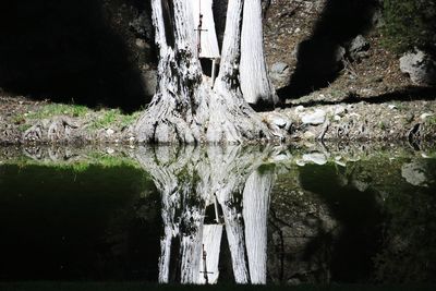 Close-up of reflection in lake