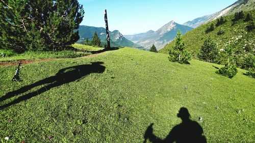 Shadow of tree on mountain