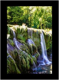 Scenic view of waterfall