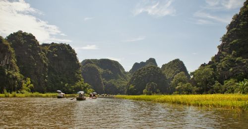 Scenic view of river amidst trees against sky