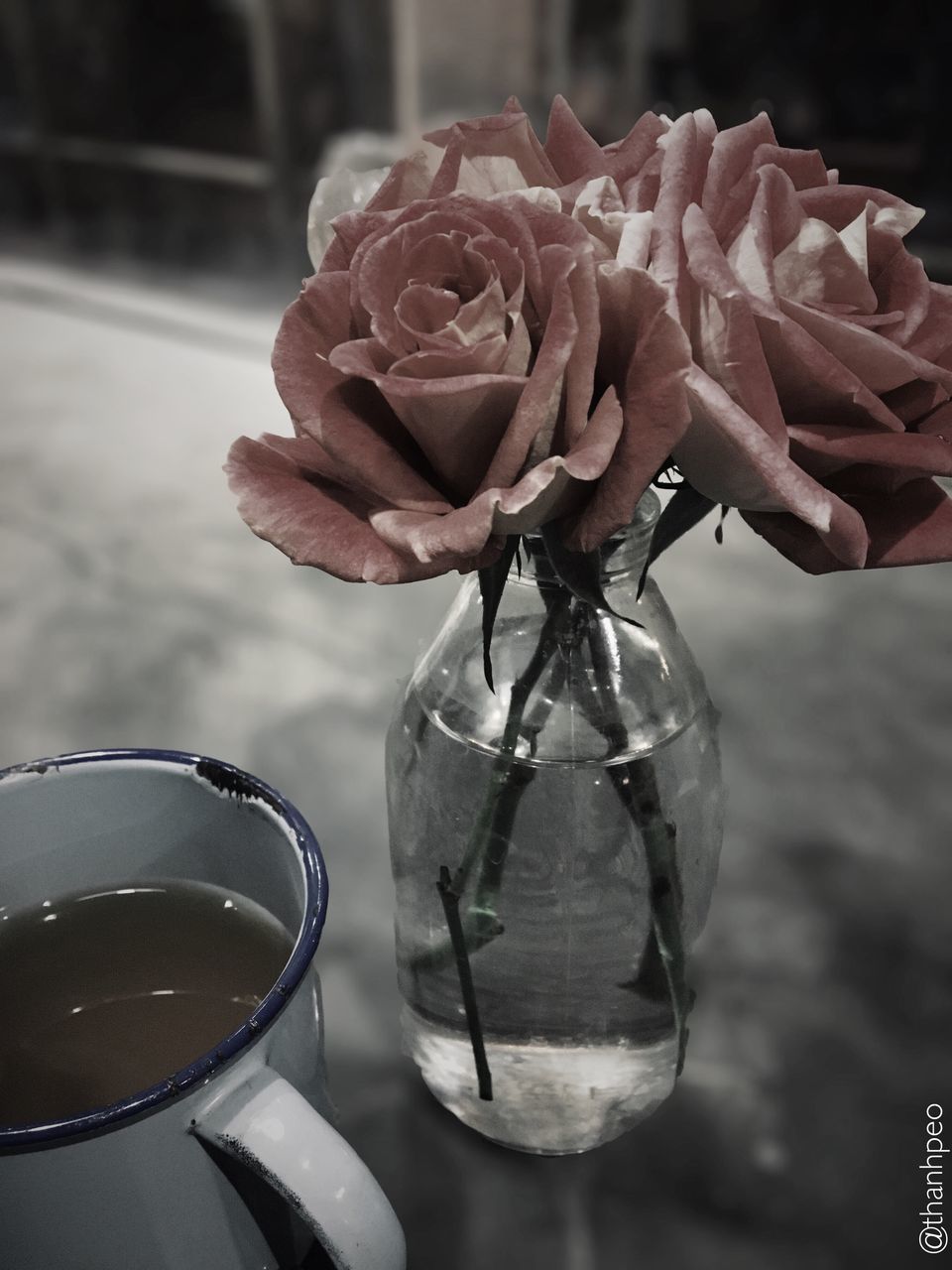 CLOSE-UP OF FLOWER VASE