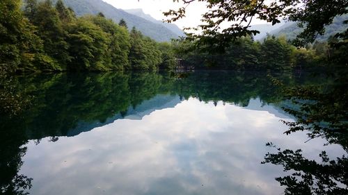 Reflection of trees in lake against sky