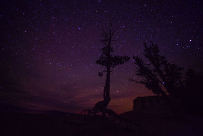 Silhouette trees against sky at night