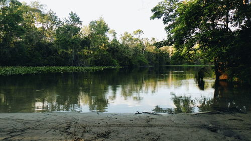 Scenic view of lake in forest against sky