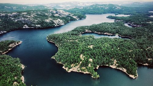 High angle view of green landscape