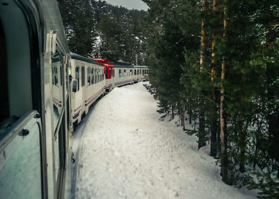 Trees on snowy field by train during winter