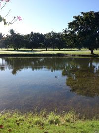 Idyllic view of river against clear sky