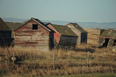 Houses on grassy field