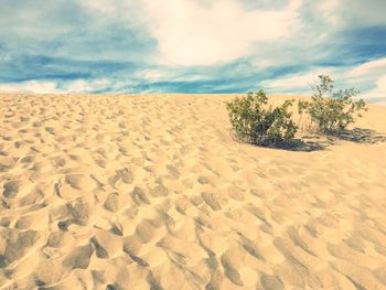 Sand dune in desert against sky