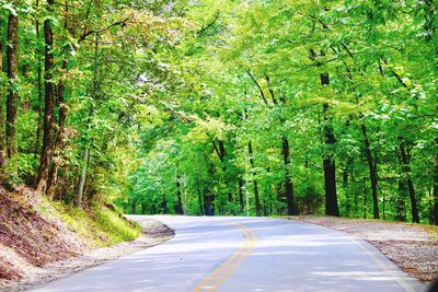Empty road amidst trees in forest