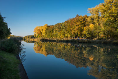 Scenic view of lake by trees against clear sky