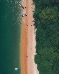 High angle view of trees on beach
