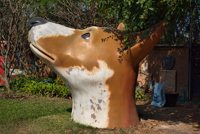 Cow by plants on field