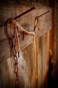 Close-up of wooden plank