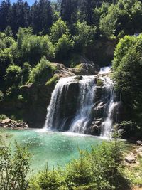 Scenic view of waterfall in forest