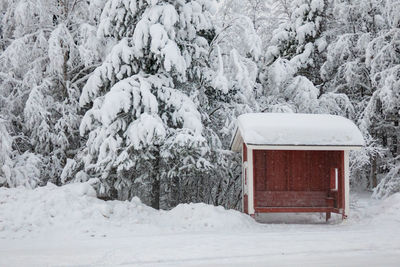 Snow covered field by trees
