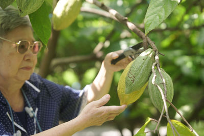 Close-up of man holding plant