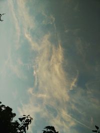 Low angle view of trees against cloudy sky