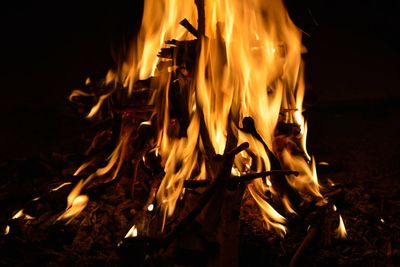 Close-up of bonfire