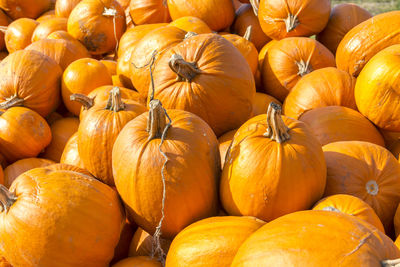 Full frame shot of pumpkins in market during autumn