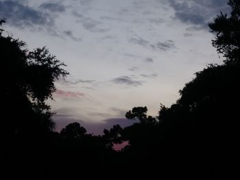 Low angle view of silhouette trees against sky