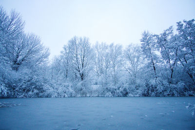 Trees on snow covered landscape against clear sky