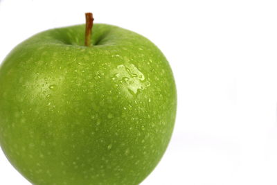 Close-up of green fruit against white background