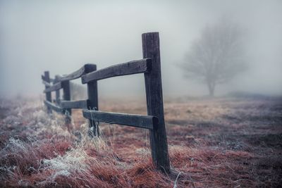 Close-up of fence amidst fog