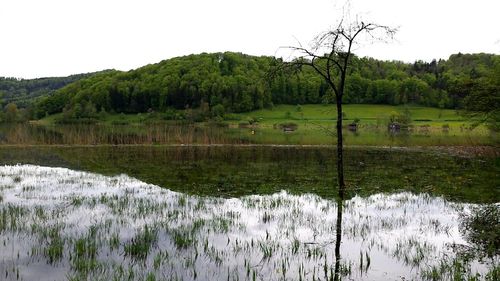 Scenic view of lake against clear sky