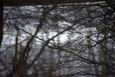 Low angle view of bare trees