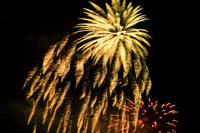 Low angle view of firework display