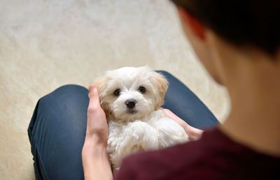 Teenage boy holding puppy at home