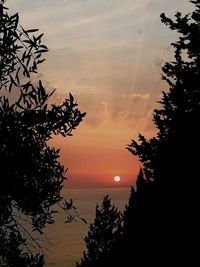 Silhouette tree by sea against sky during sunset